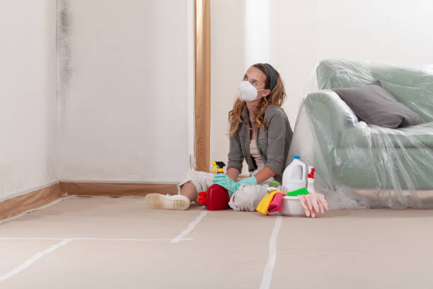 Reliable Mold Remediation contractor in Grampian, PA by WQB Mold Removal